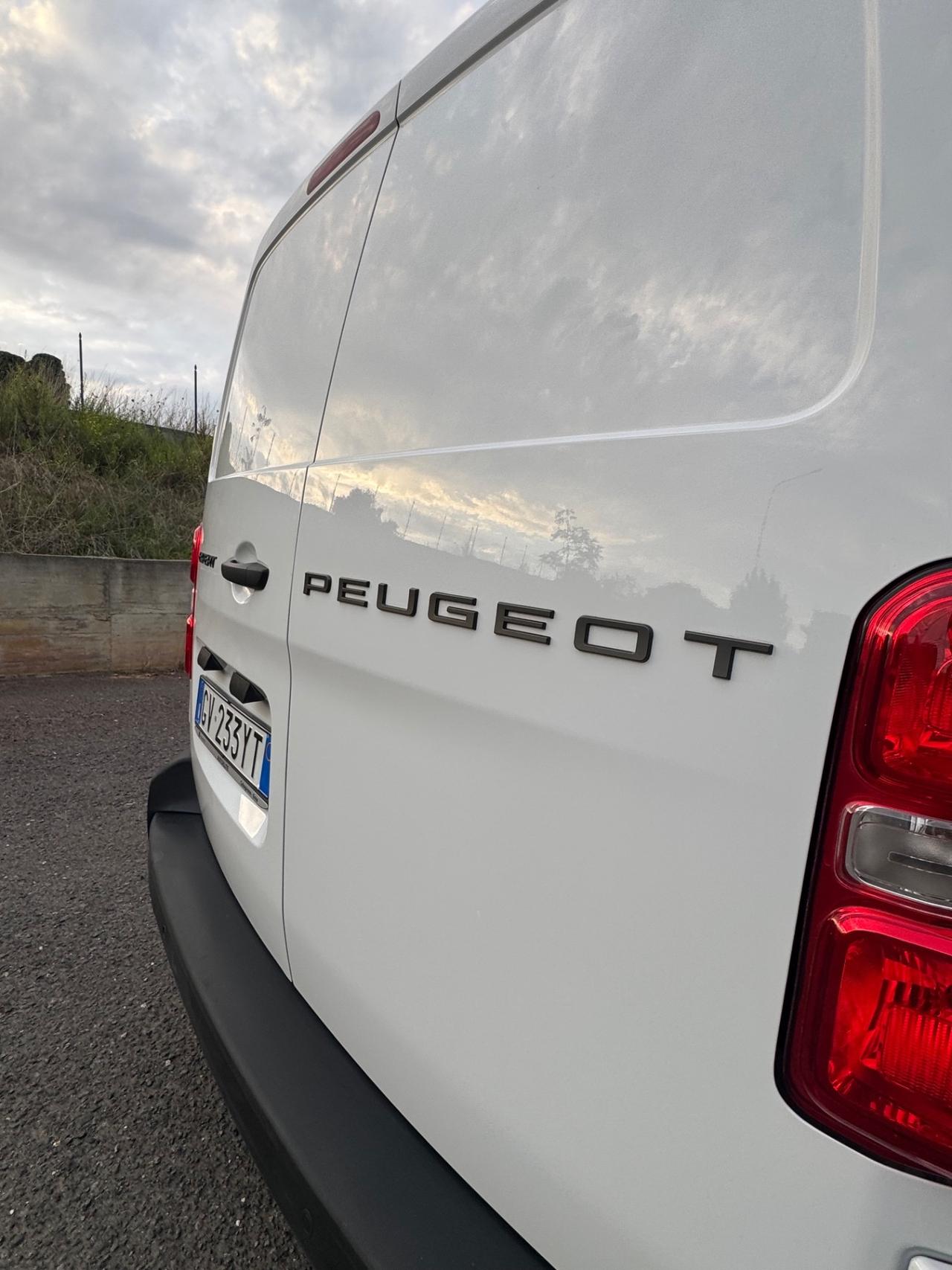 Peugeot Expert 2.0 BlueHDi 140 PL-SL-TN Furgone Long