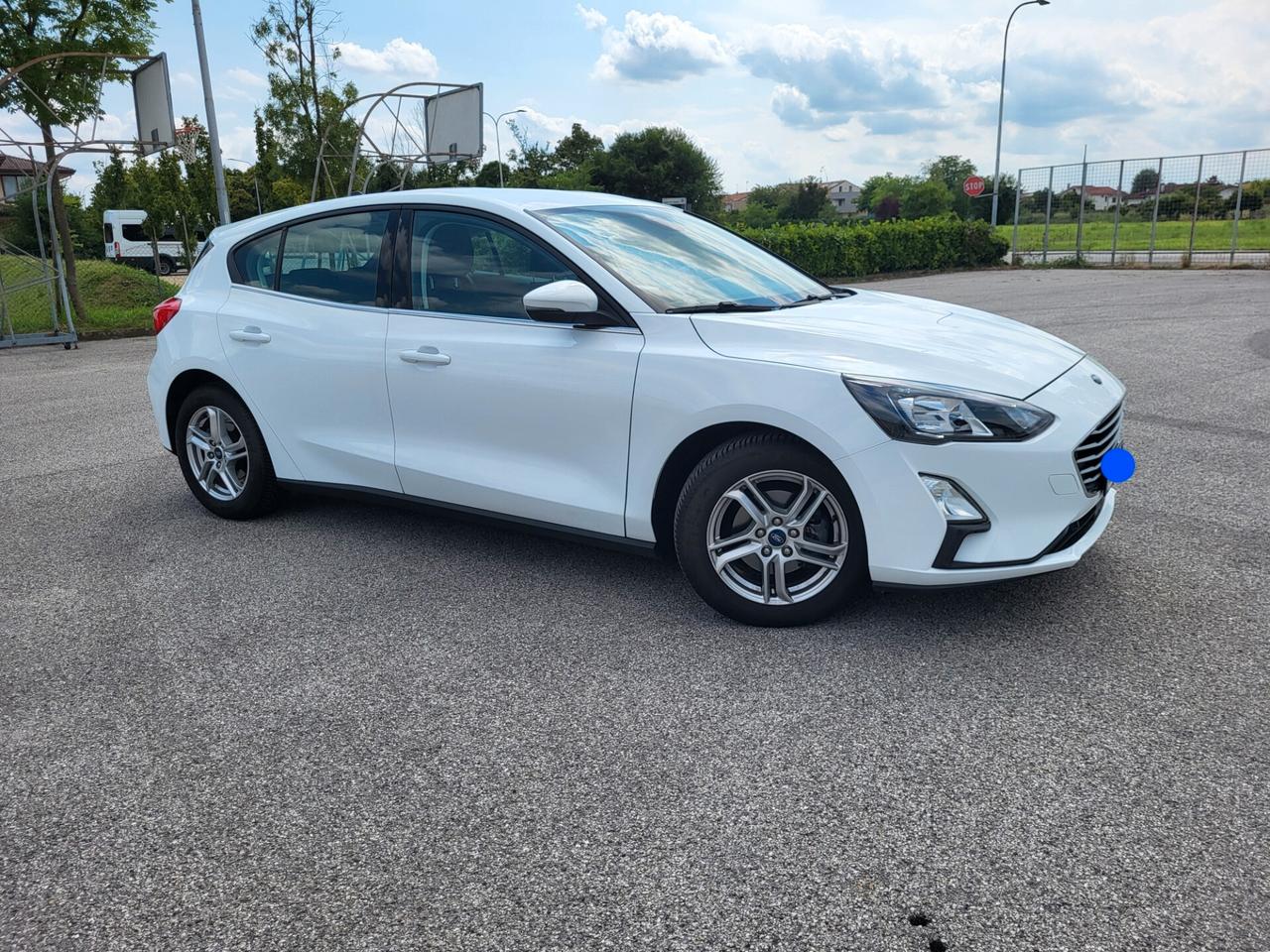 Ford Focus 1.5 EcoBlue 120 CV automatico 5p. Business Co-Pilot