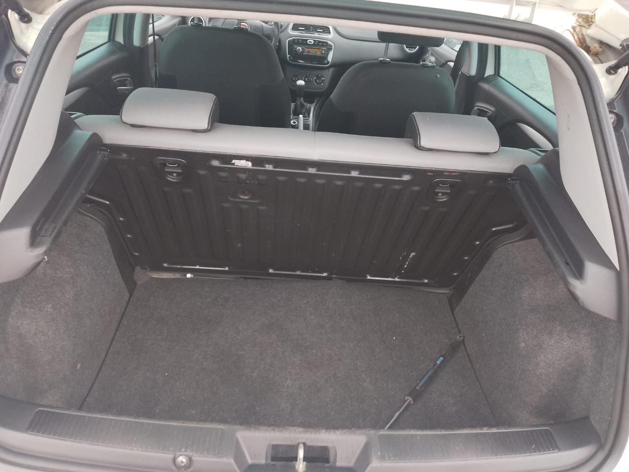 Fiat Punto 1.3 MJT 75CV 5 porte Van Easy 4 posti