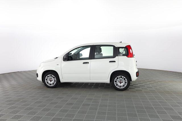 FIAT Panda Panda 1.2 Easy