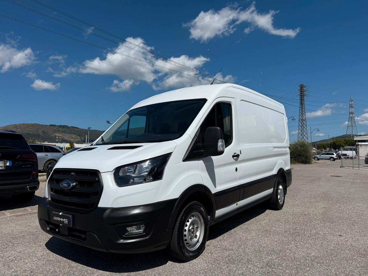 Ford Transit 290 2.0TDCi Eco Blue PM-TM Furgone PREZZO ESCLUSO IVA (029)