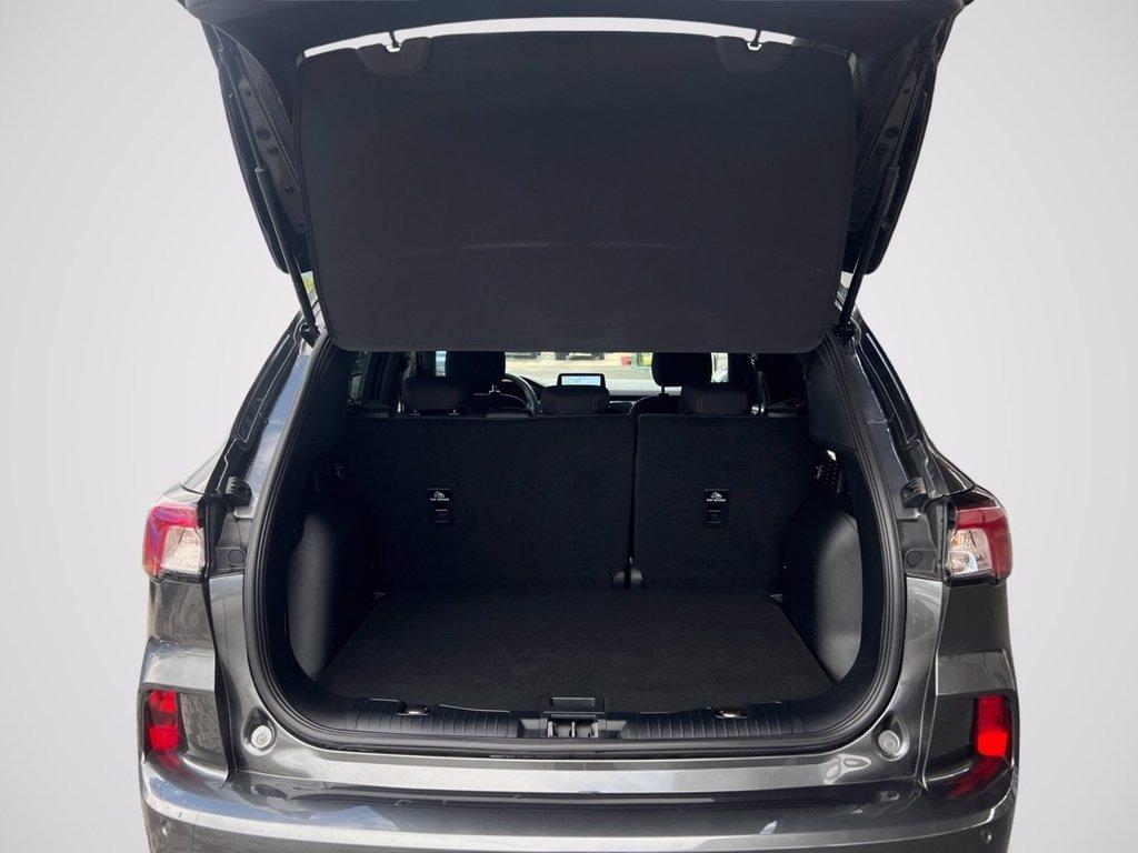 FORD Kuga 1.5 EcoBoost 150 CV 2WD ST-Line del 2024