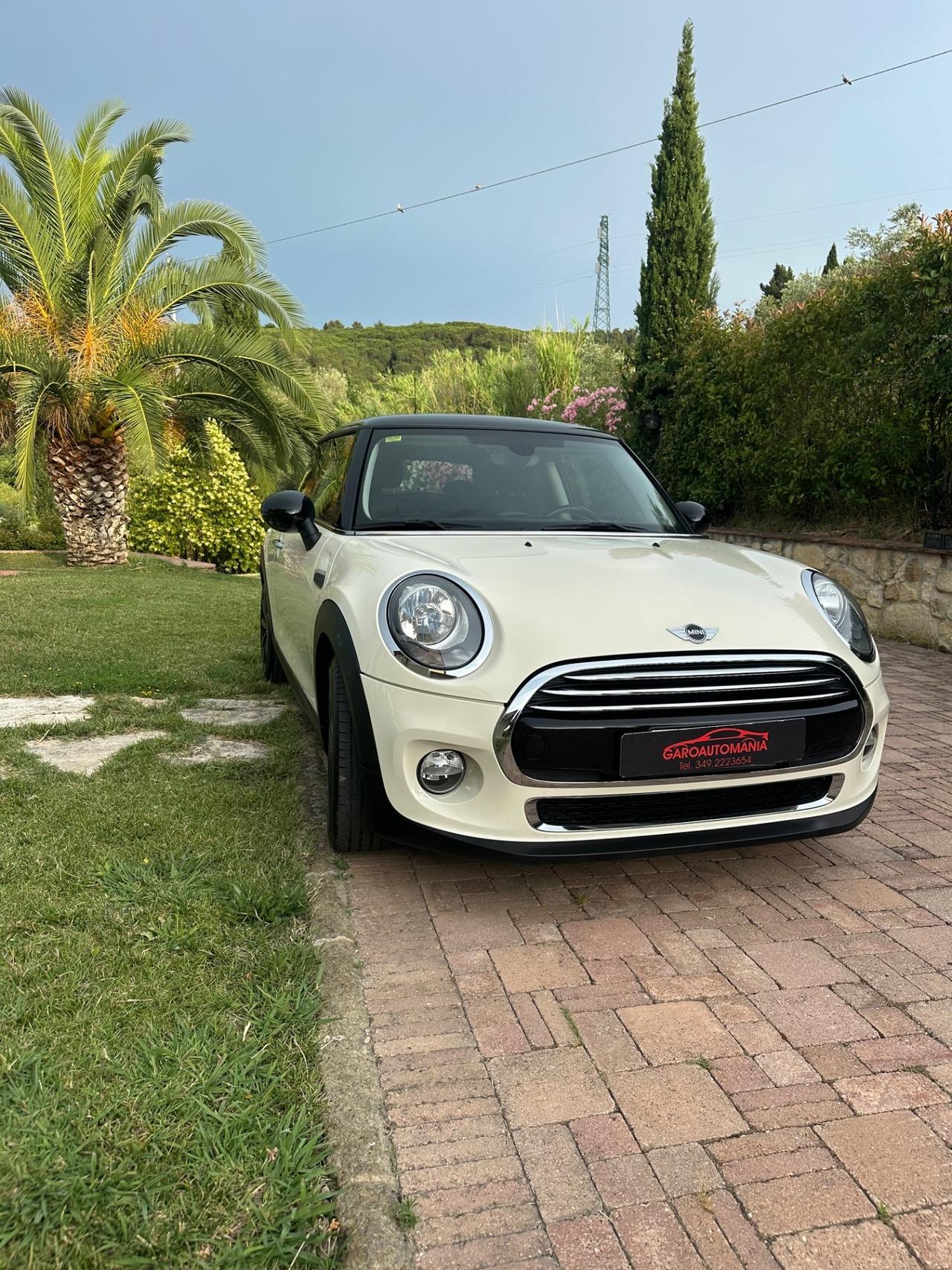 Mini 1.5 One D