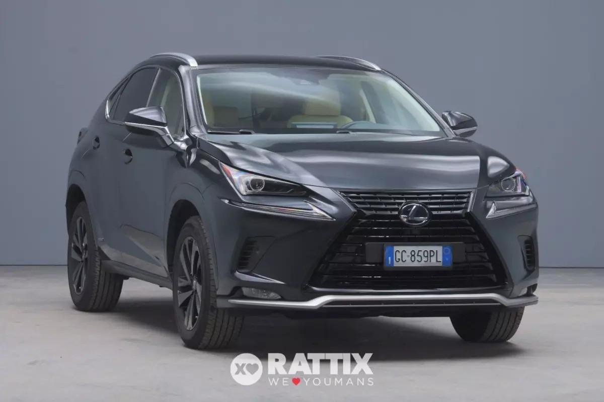 Lexus NX 300h 2.5 Hybrid Premium 4WD CVT