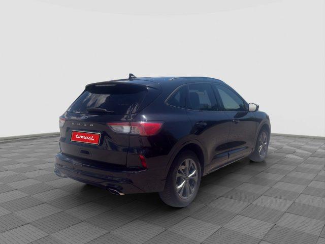 FORD Kuga Kuga 2.0 EcoBlue Hybrid 150 CV 2WD ST-Line
