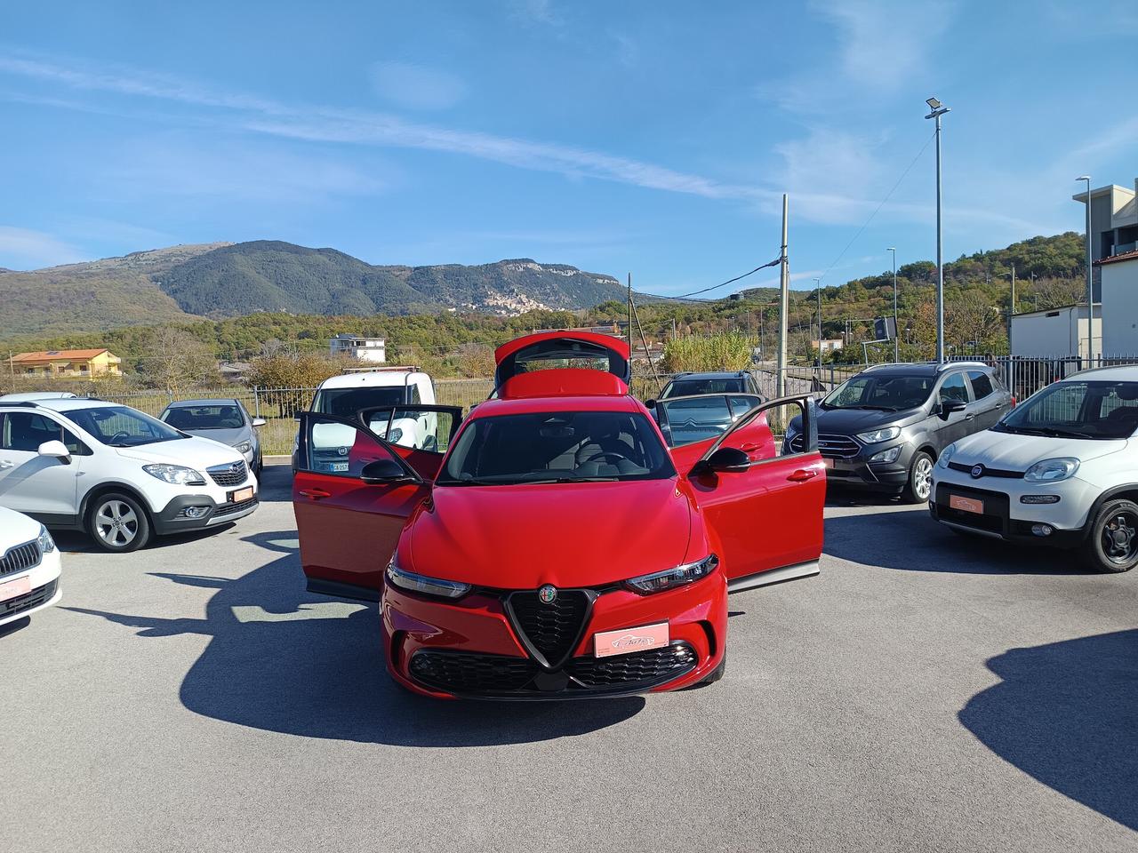 Alfa Romeo Tonale 1.6 diesel 130 CV TCT6 Sprint auto