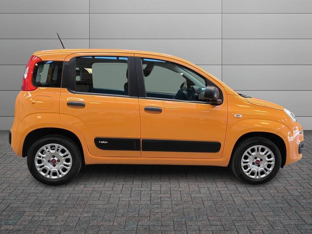 FIAT Panda III 2016 - Panda 1.2 Pop s&s 69cv my19