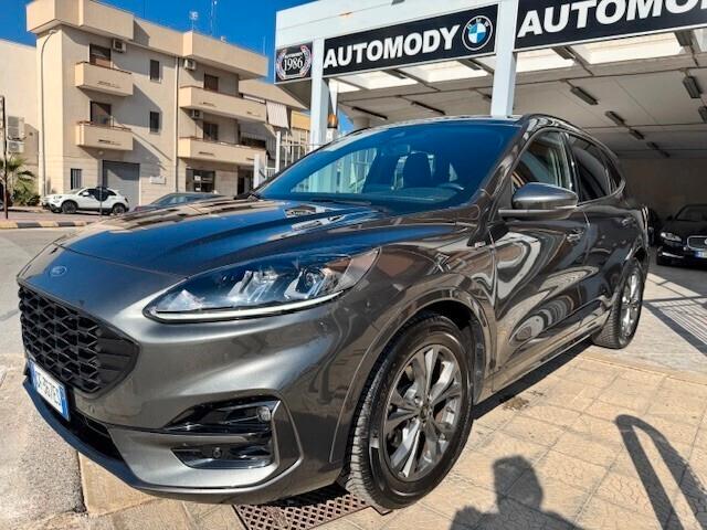 Ford Kuga 1.5 EcoBlue 120 CV 2WD ST-Line X