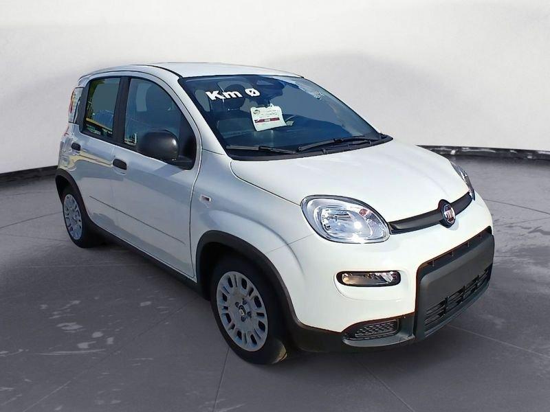 FIAT Panda NEW 1.0 70cv Hybrid Panda