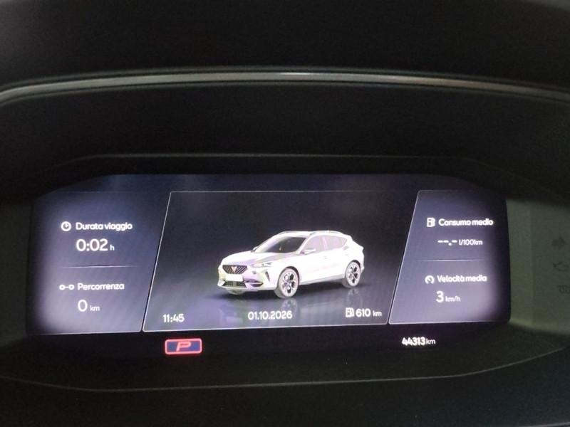 CUPRA FORMENTOR 2.0 TDI 4DRIVE DSG SUV