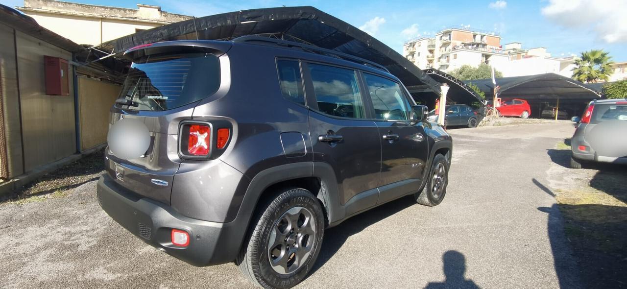 Jeep Renegade 1.6 Mjt 105 CV Longitude 2018 USATO
