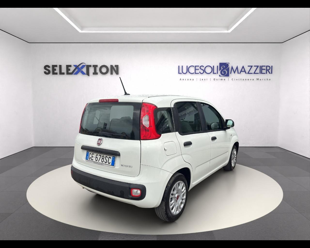 FIAT Panda 3ª serie - Panda 1.0 FireFly S&S Hybrid