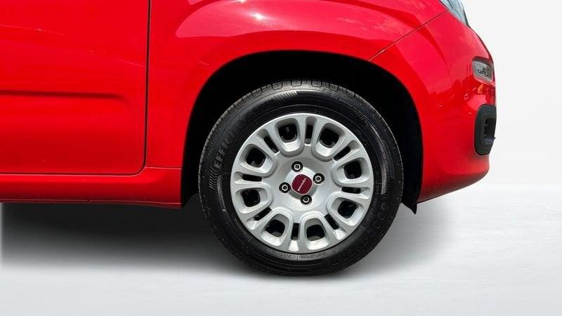 FIAT Panda 1.2 Easy s&s 69cv my19