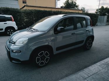 Fiat Panda 1.0 FireFly S&S Hybrid Sport