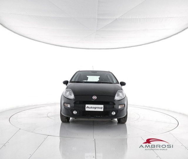 FIAT Punto 1.4 8V 5 porte Natural Power