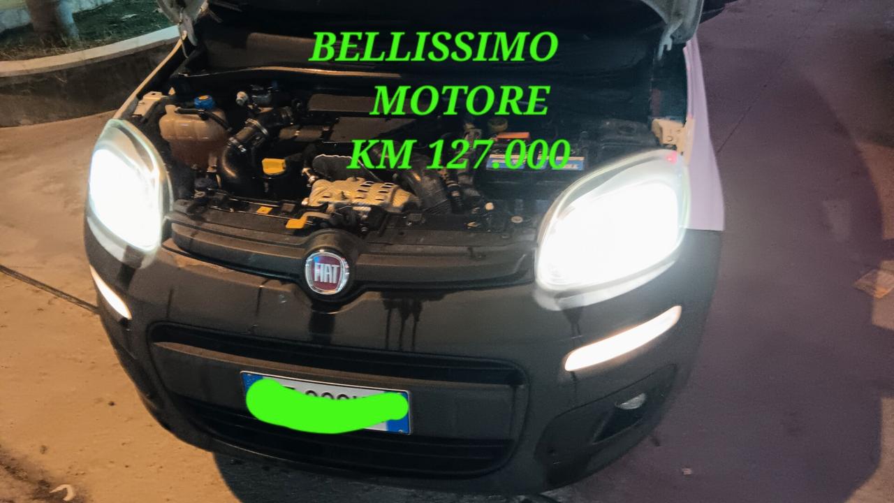Fiat Panda van usata MONDIALCARS KM 127.000