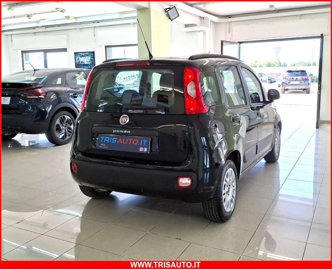 FIAT Panda 1.2 Easypower Gpl Easy NEOPATENTATI