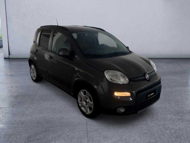 FIAT Panda 3ª serie - 1.0 FireFly S&S Hybrid Red