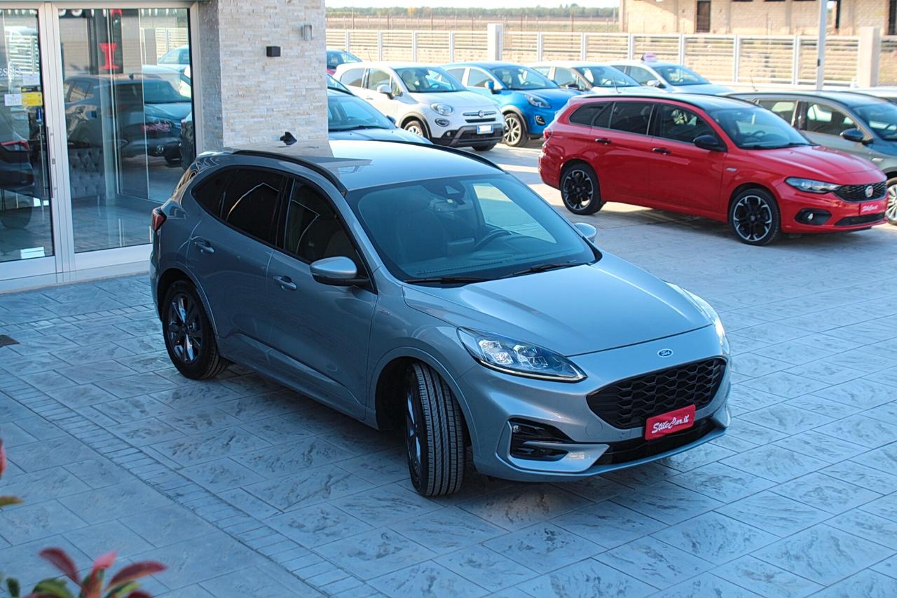 Ford Kuga 1.5 EcoBlue 120 CV aut. 2WD ST-Line X
