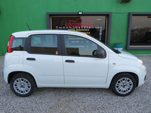 FIAT Panda 1.2 Easy S&S 1200 C.C.