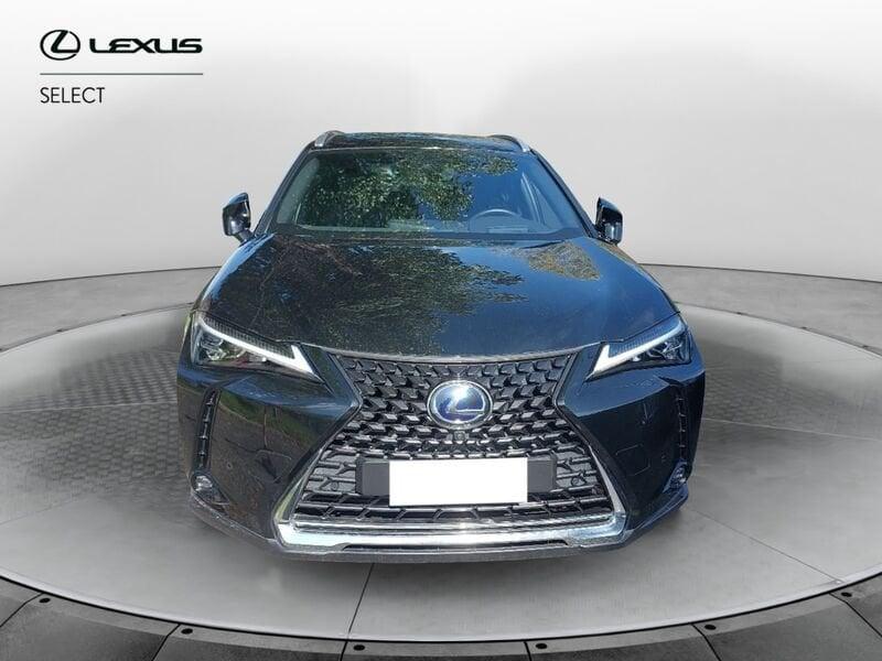 Lexus UX Hybrid 4WD Luxury