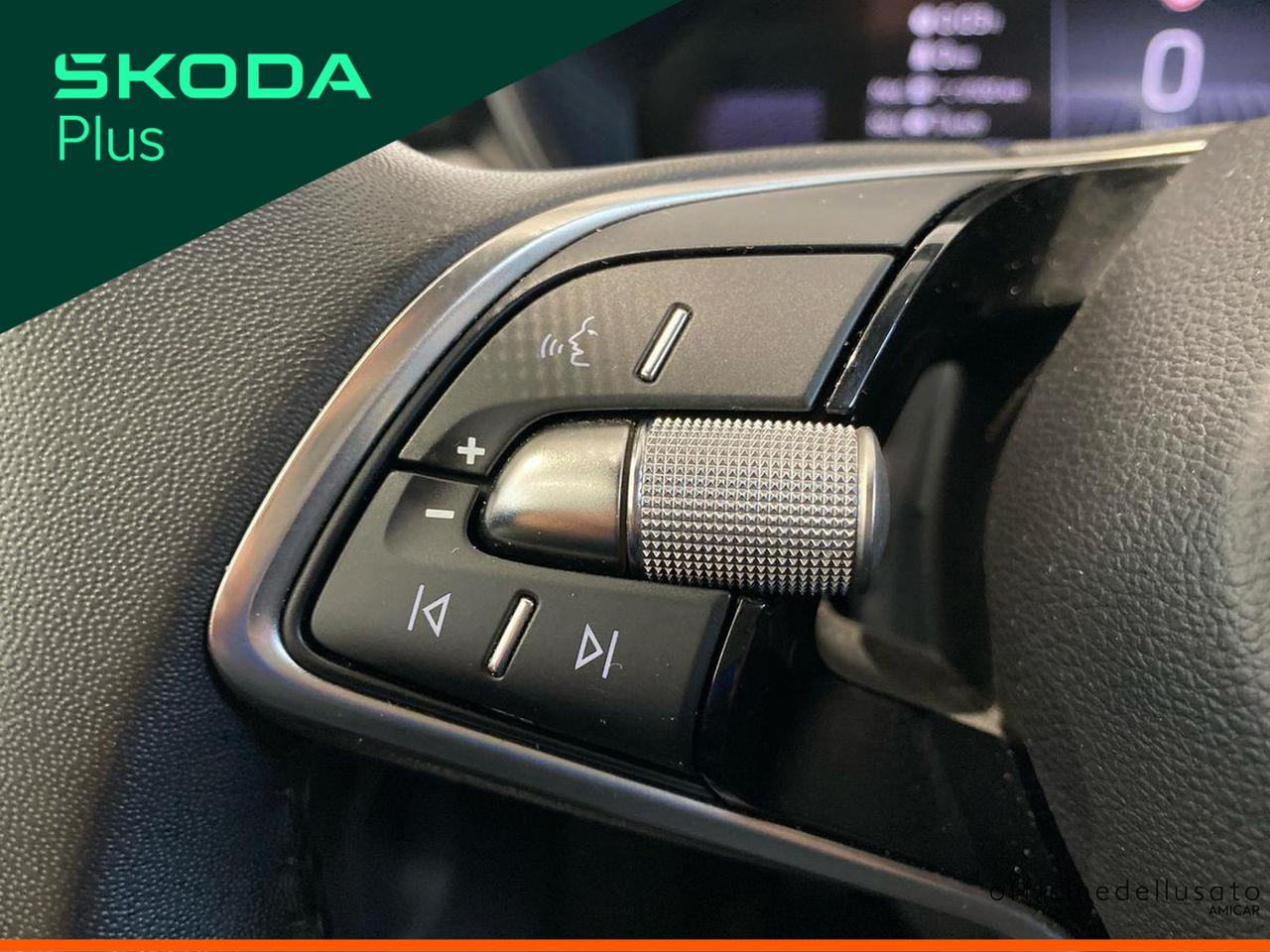 Skoda Fabia 1.0 mpi evo 80cv selection