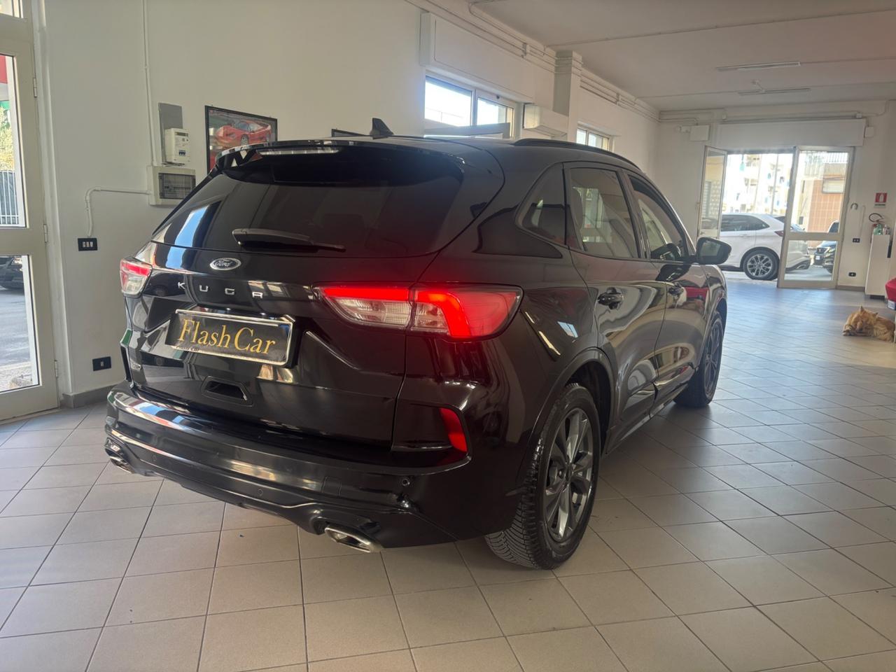 Ford Kuga 2.0 EcoBlue 190 CV aut. AWD ST-Line X