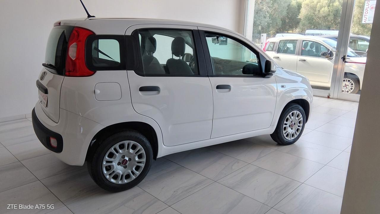 Fiat Panda 1.2 Easy n1 autocarro
