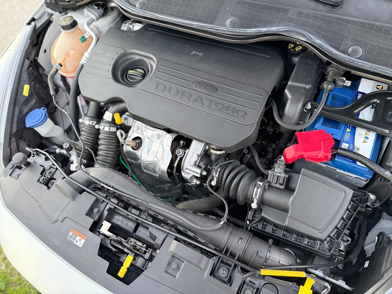 Ford Fiesta 1.5 TDCi 5 porte ST-Line