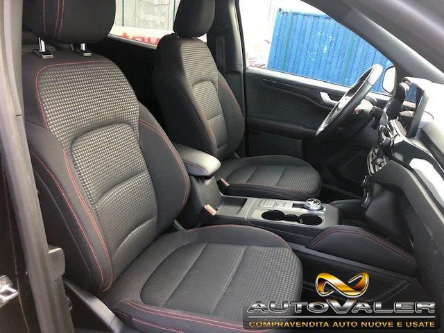 FORD Kuga 1.5 EcoBlue 120 CV Cambio aut. ST-Line
