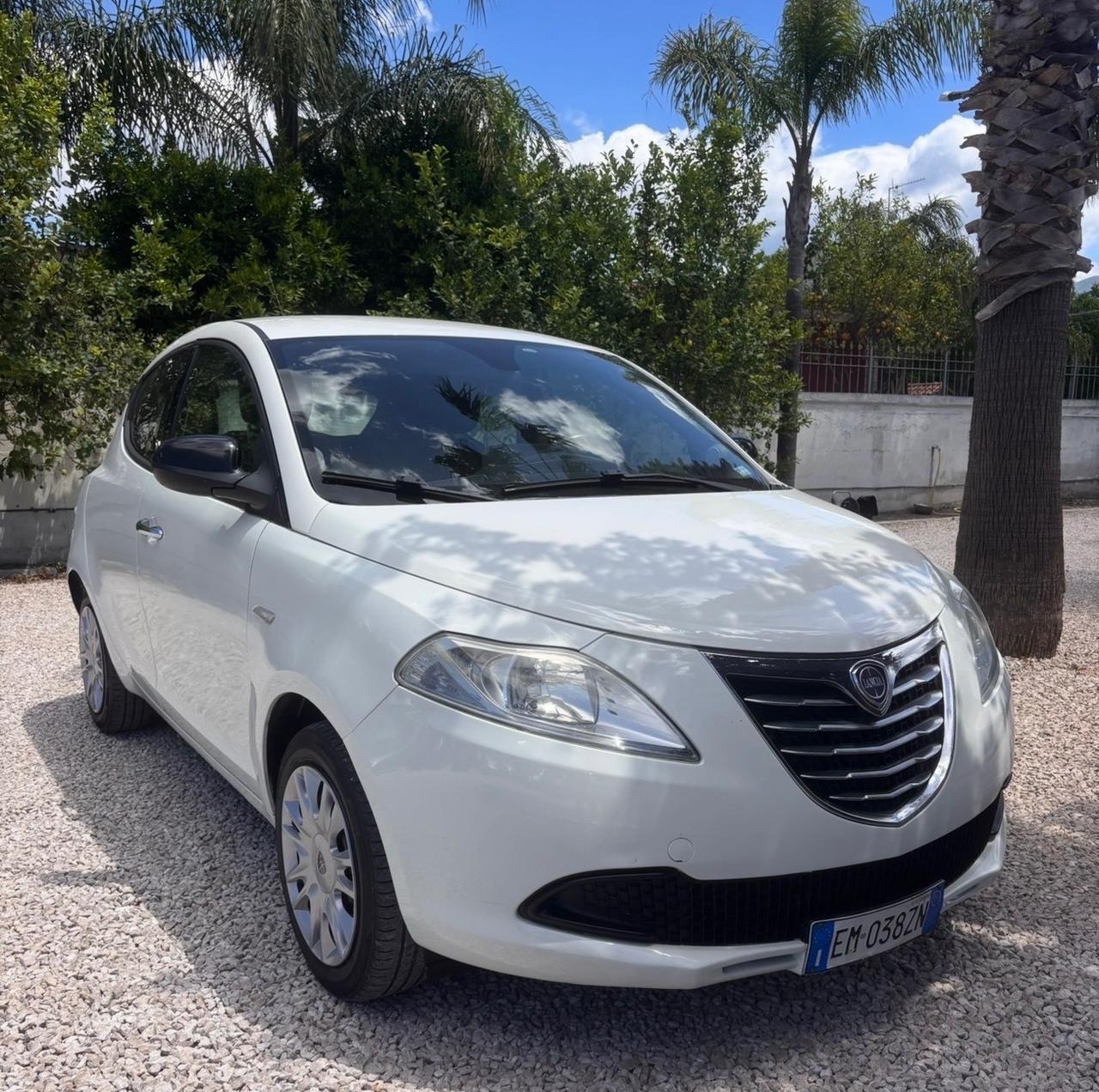 Lancia Ypsilon 1.2 69 CV 5 porte S&S Platinum