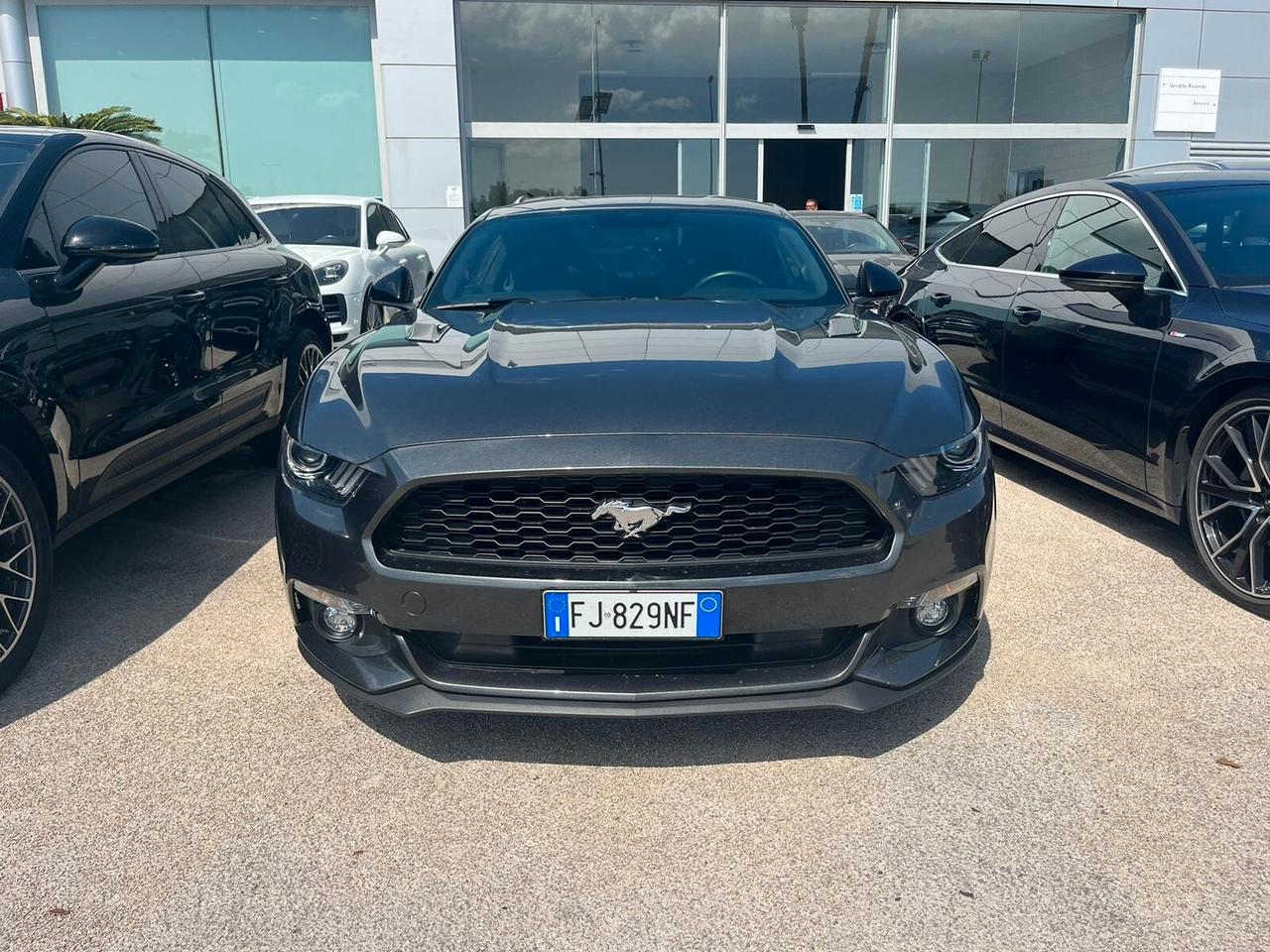 Mustang SHELBY Line