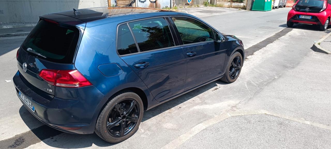 Volkswagen Golf 1.6 TDI 90 CV 5p. Business Trendline BlueMotion Tech.
