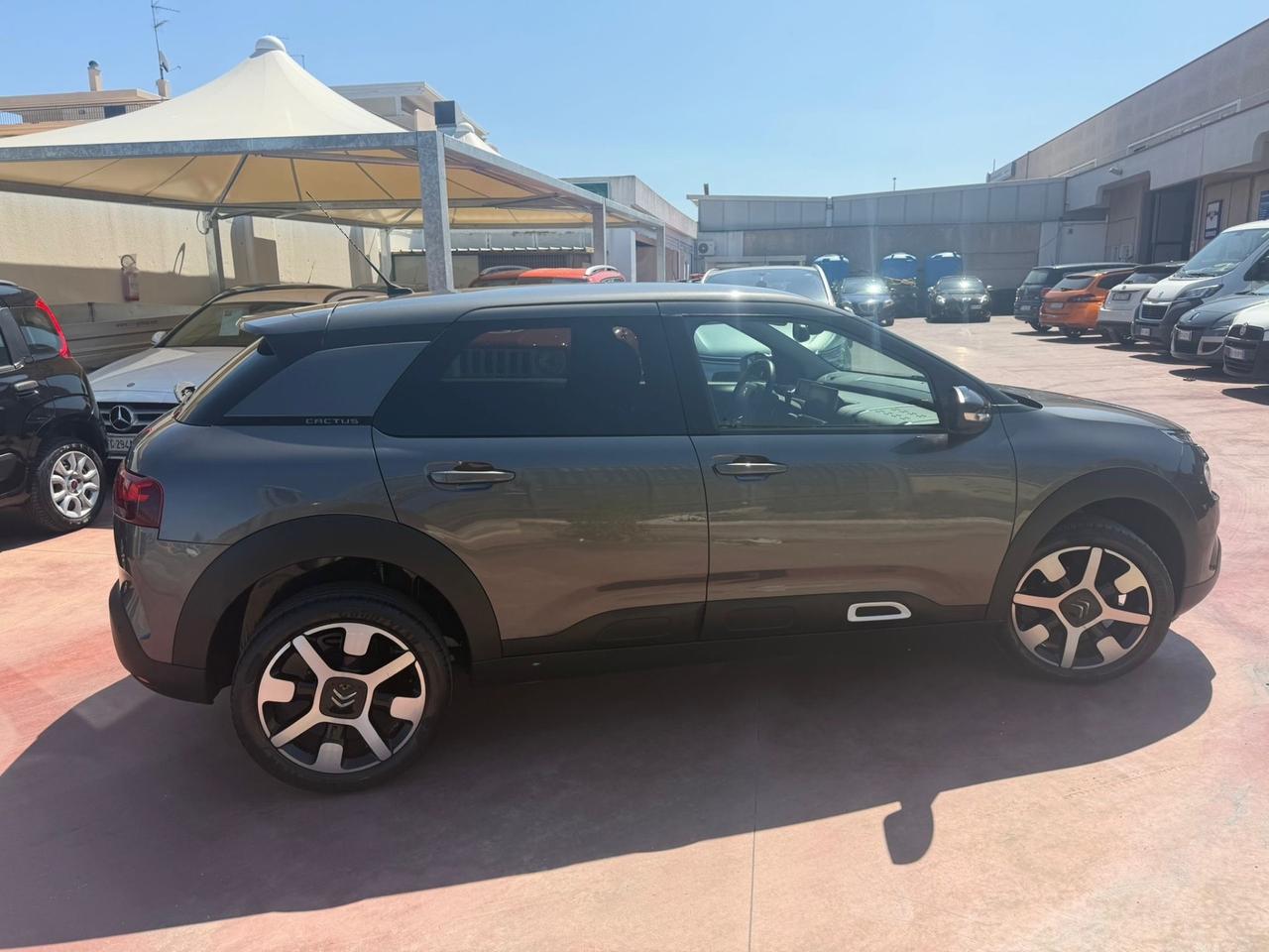 Citroen C4 Cactus BlueHDi 100 S&S Shine