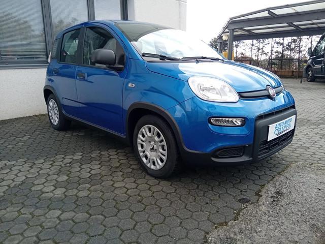 FIAT Panda 1.0 MILD HYBRID MANUALE PANDINA OK NEOPATENTATO