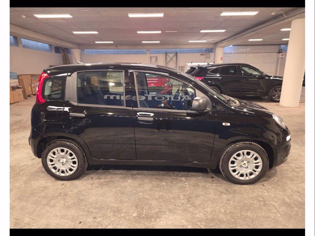FIAT Panda 1.0 firefly hybrid icon s&s 70cv 5p.ti del 2025
