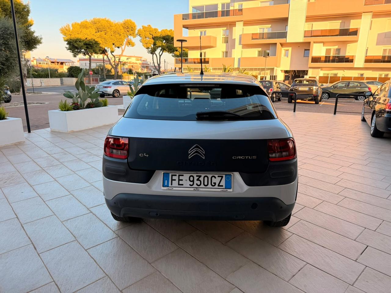 Citroen C4 Cactus BlueHDi 100 Shine