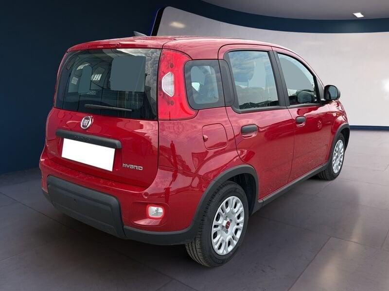 FIAT Panda My24 1.0 70cv Hybrid Panda