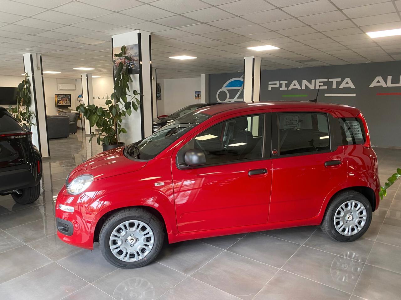 Fiat Panda Pandina 1.0 FireFly 65 CV Hybrid Icon