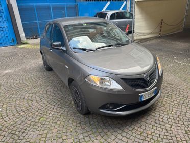 Lancia Ypsilon 1.2 69 CV 5 porte S&S Platinum