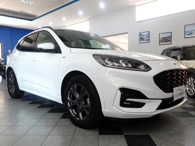 Ford Kuga 1.5 EcoBlue 120 CV POWERSHIFT ST LINE