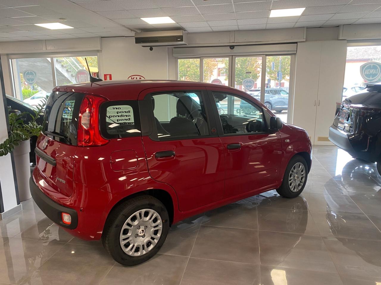 Fiat Panda Pandina 1.0 FireFly 65 CV Hybrid Icon