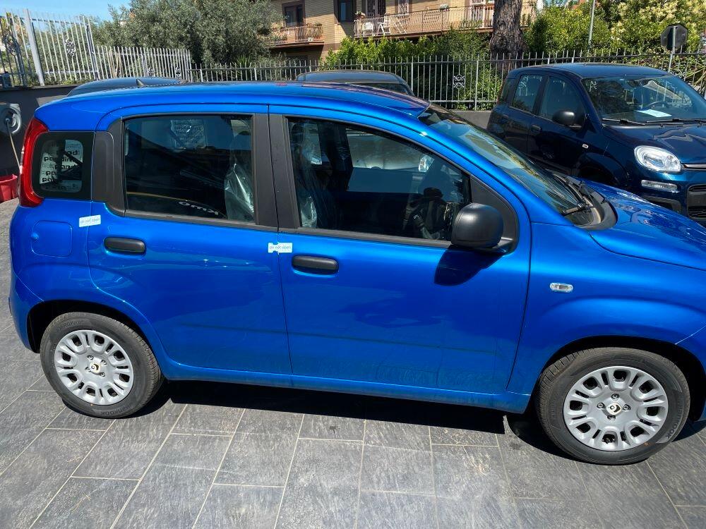 Fiat Panda Pandina 1.0 FireFly 65 CV Hybrid Pop