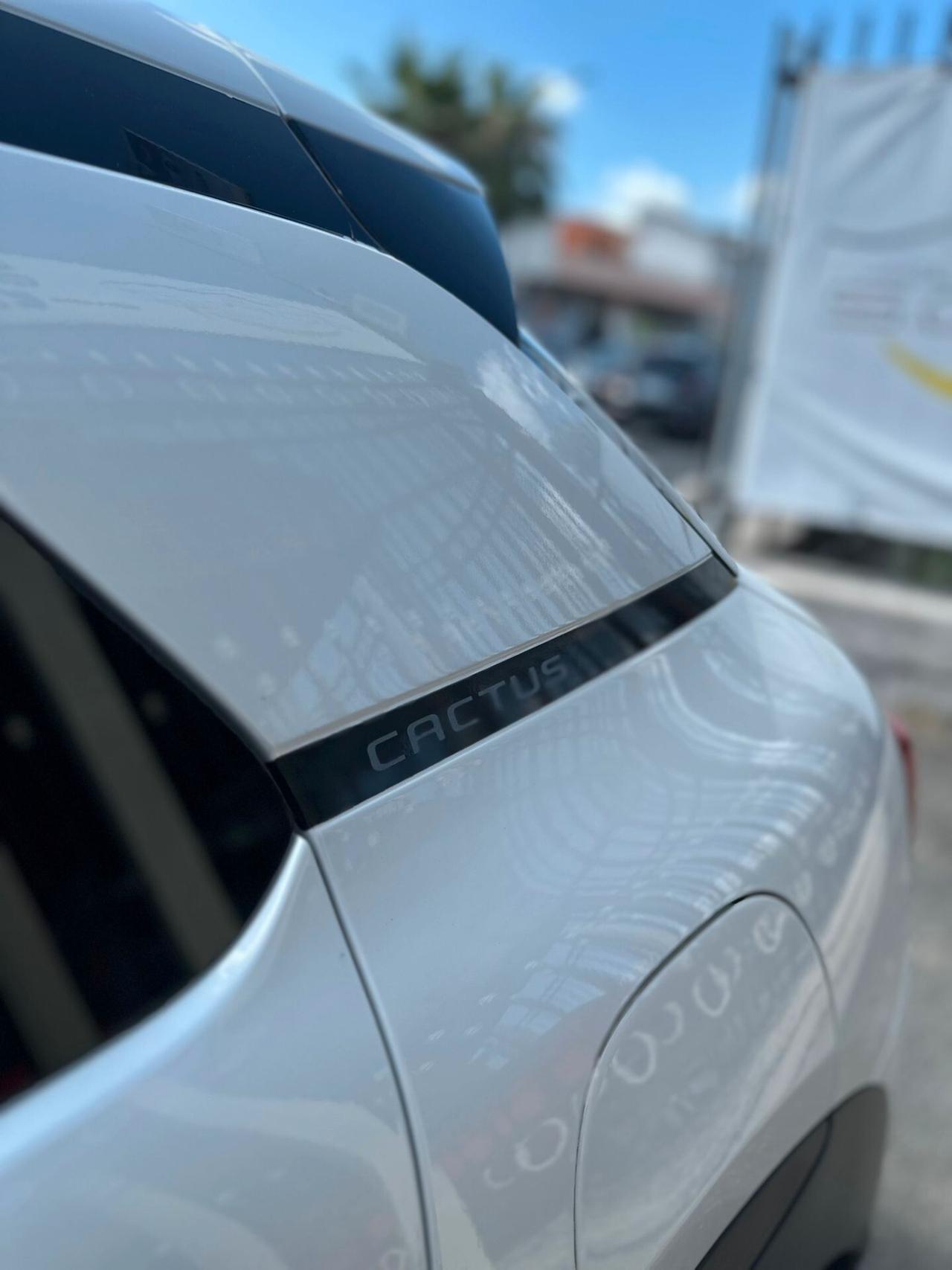 Citroen C4 Cactus BlueHDi 100 S&S Shine