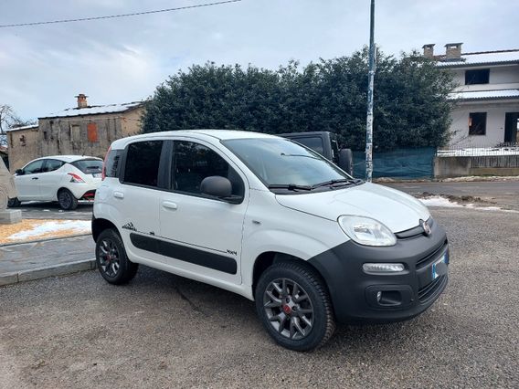 Fiat Panda New Panda Van 4x4 2 Posti
