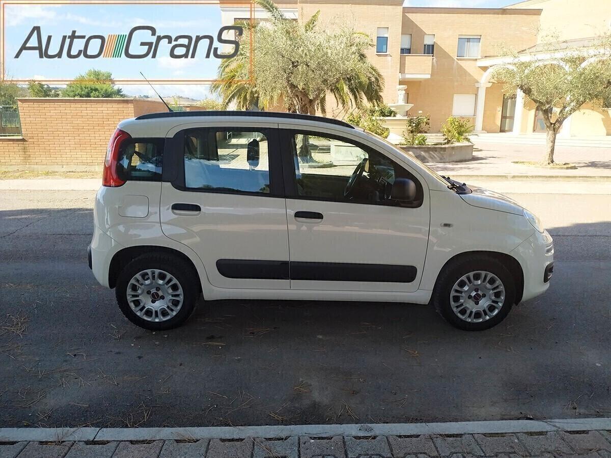 FIAT PANDA 1.2 Lounge Bianco 5Posti