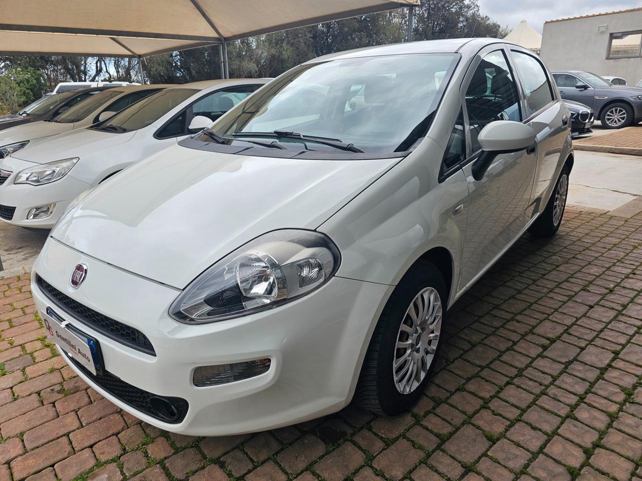 Fiat Punto 1.3 MJT II S&S 95 CV 5 porte Street