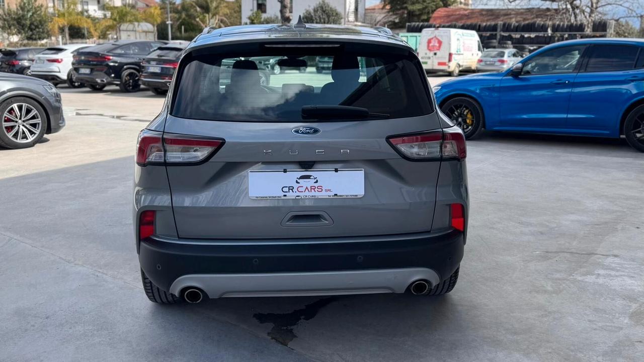 Ford Kuga 1.5 EcoBlue 120 CV aut. 2WD Titanium Business