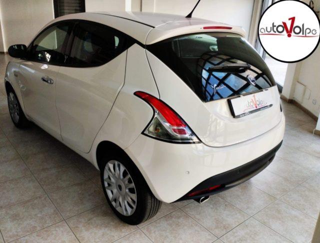 LANCIA Ypsilon 1.2 69 CV 5 porte Gold