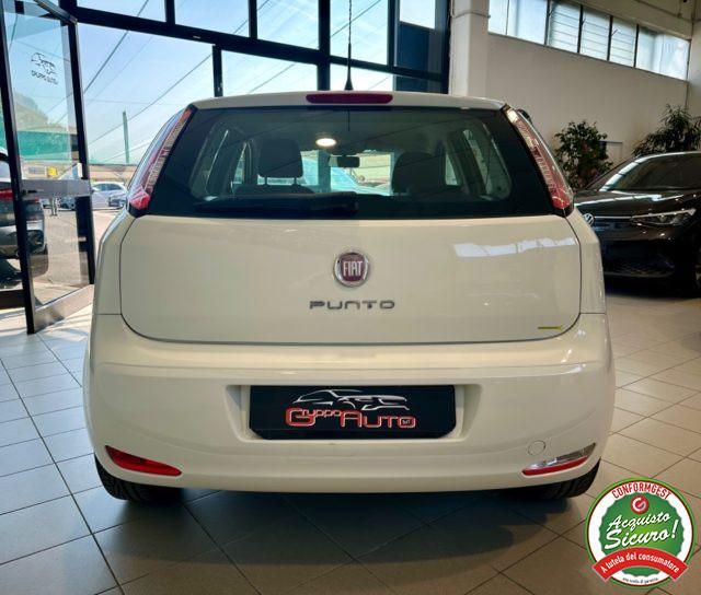 FIAT Punto 1.2 8V 5p. Pop *NEOPATENTATI*